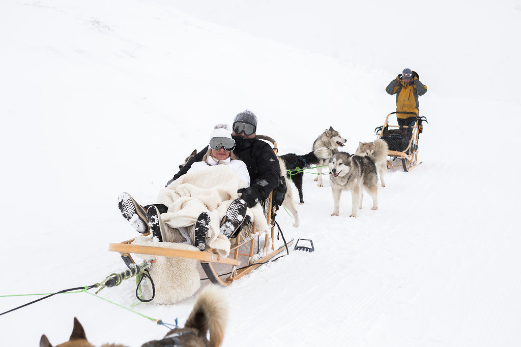 Dog sled trip