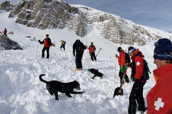 freshtracks-avalanche-training