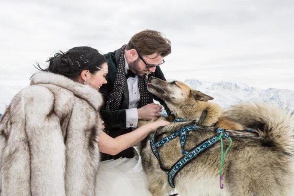Dog-sled ride to a champagne apero - Credit Melody Sky