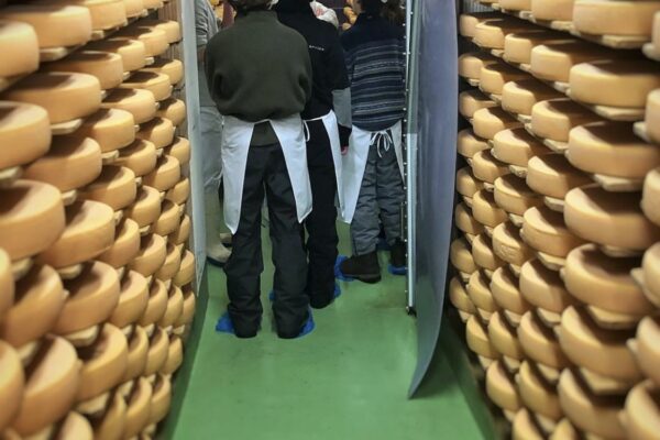 cheese making in verbier