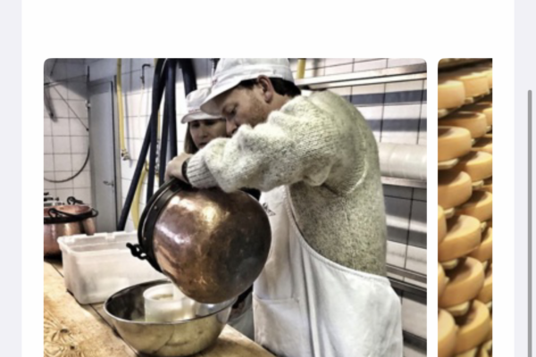 cheese making itinerary