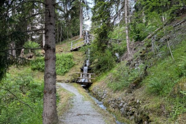 bruson bisse