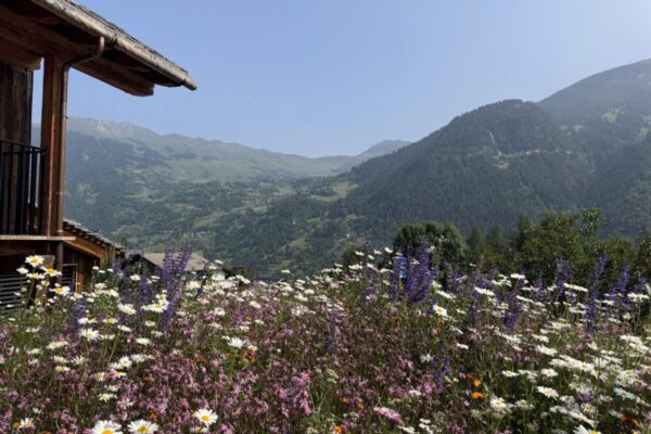 pilates & promenades in verbier switzerland